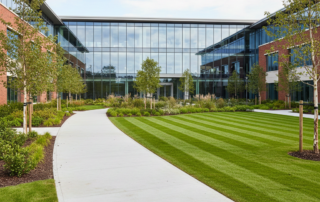 19. Commercial Landscaping - External Planting Installation Services