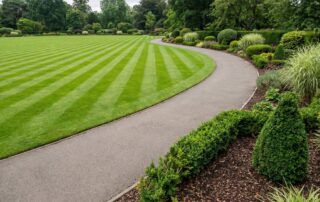 15. Experts Landscaping Services – Maintenance London 15. Experts Landscaping Services - Maintenance London