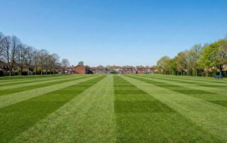 8. Experts Landscaping Maintenance Services London 8. Experts Landscaping Maintenance Services London